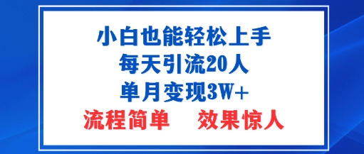 小白也能轻松上手的宝妈项目，每天引流20人，单月变现3W+，流程简单，效果惊人-创业项目网
