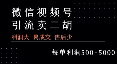 视频号卖二胡教程，利润大 易成交 售后少，一单利润5张+-创业项目网