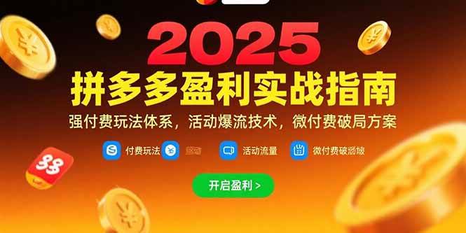 （15357期）拼多多盈利实战指南，强付费玩法，活动爆流技术，微付费破局方案(更新7月)-创业项目网