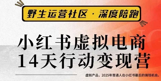 小红书虚拟电商14天变现训练营3.0，虚拟产品，2025年普通人在小红书最后的搞钱机会-创业项目网