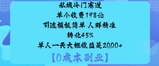 私域冷门赛道:单个收费198米引流模板简单人群精准转化45%单人一天大概收益是1k+-创业项目网