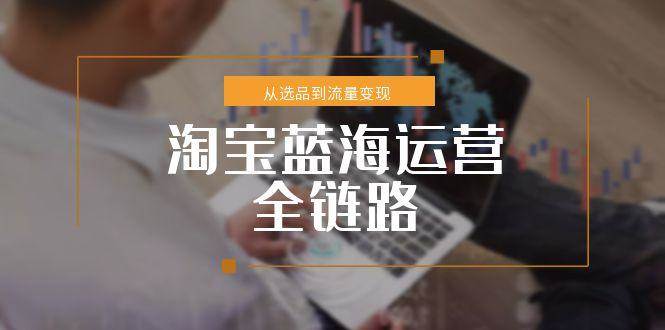 （15160期）淘宝蓝海运营全链路，从选品到流量变现，小类目突围完整方案-创业项目网