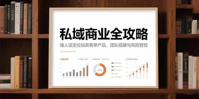（15294期）私域商业全攻略，强人设定位加高客单产品，团队搭建与风险管控-创业项目网