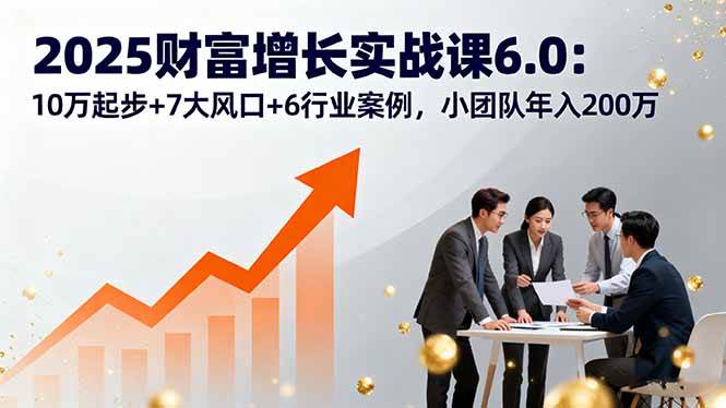 （16004期）2025财富增长实战课6.0：10万起步+7大风口+6行业案例，小团队年入200万-创业项目网