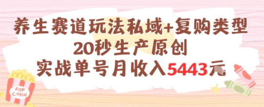 养生赛道玩法私域+复购类型，20秒生产原创实战单号月收入5k+-创业项目网