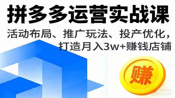 （16135期）拼多多运营实战课，活动布局、推广玩法、投产优化，打造月入3w+赚钱店铺-创业项目网