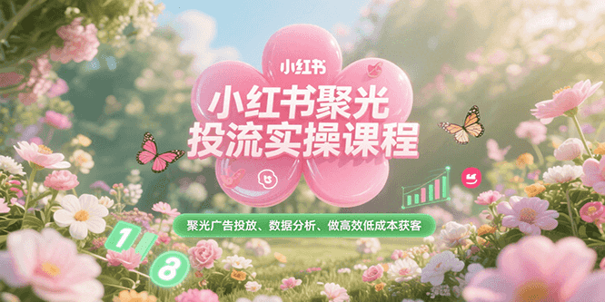 小红书聚光投流实操课程，聚光广告投放、数据分析、做高效低成本获客-创业项目网