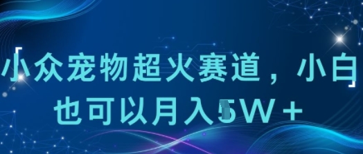 小众宠物超火赛道，小白也可以月入1w+-创业项目网