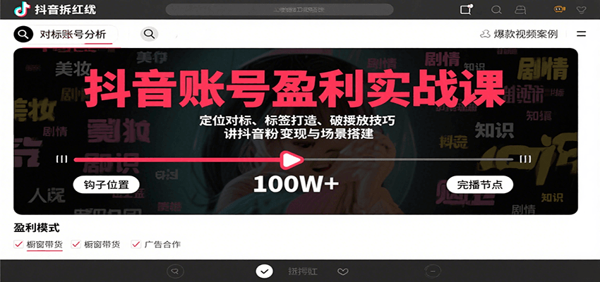 抖音账号盈利实战课，定位对标、标签打造、破播放技巧，讲涨粉变现与场景搭建-创业项目网