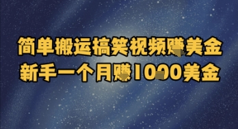 简单搬运搞笑视频挣美金，新手一个月入1k美金-创业项目网