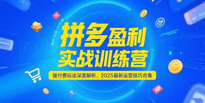 （15183期）拼多多盈利实战训练营，强付费玩法深度解析，2025最新运营技巧合集-创业项目网