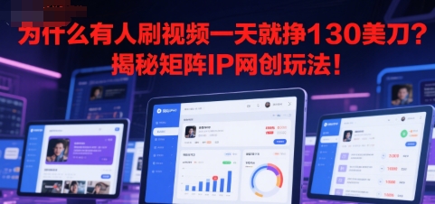 为什么有人刷视频一天就挣130美刀？揭秘矩阵IP网创玩法!-创业项目网