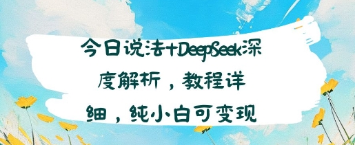 今日说法+DeepSeek深度解析，教程详细，纯小白可变现-创业项目网