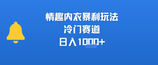情趣内衣暴利玩法，冷门赛道，日入1k+-创业项目网