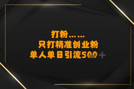 打粉只打精准创业粉，单人单日引流500+-创业项目网