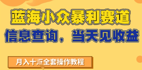 蓝海小众暴利赛道，信息查询，当天见收益，不讲玄学，7天搞了2W+-创业项目网