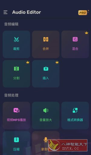Audio Editor Pro Pro音频编辑器v1.01.72.0623专业版-创业项目网