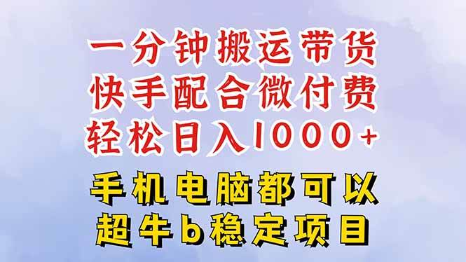 （16285期）快手黑科技一分钟搬运带货，一刀不剪过原创，微付费投流玩法，轻松日入…-创业项目网