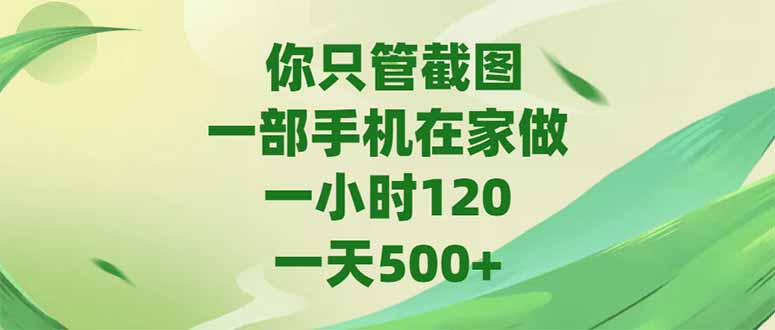 （15039期）你只管截图，一部手机在家做，一小时120，-天500+-创业项目网