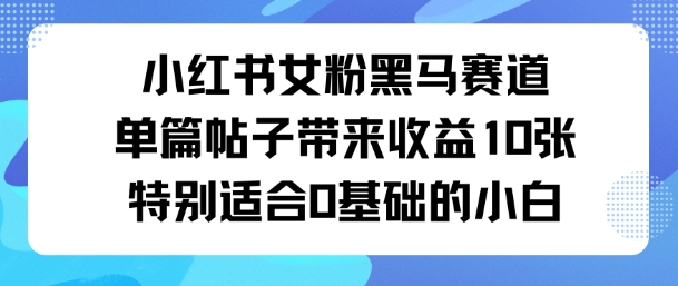 小红书女粉黑马赛道单篇帖子带来收益10张特别适合0基础的小白-创业项目网