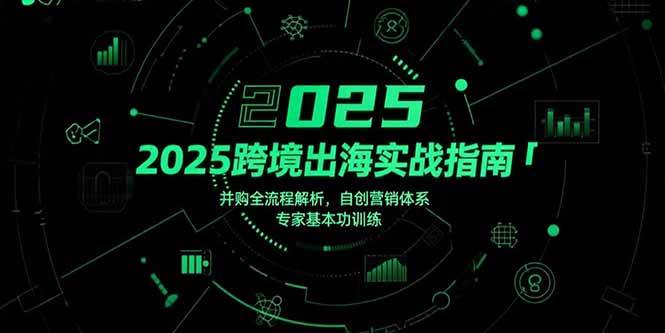 （15503期）2025跨境出海实战指南，并购全流程解析，自创营销体系，专家基本功训练-创业项目网