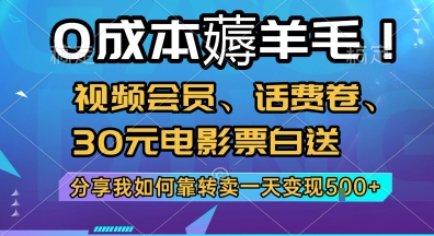 0成本薅羊毛!视频会员、话费卷、30元电影票白送，分享我如何靠转卖一天变现5张+【揭秘】-创业项目网