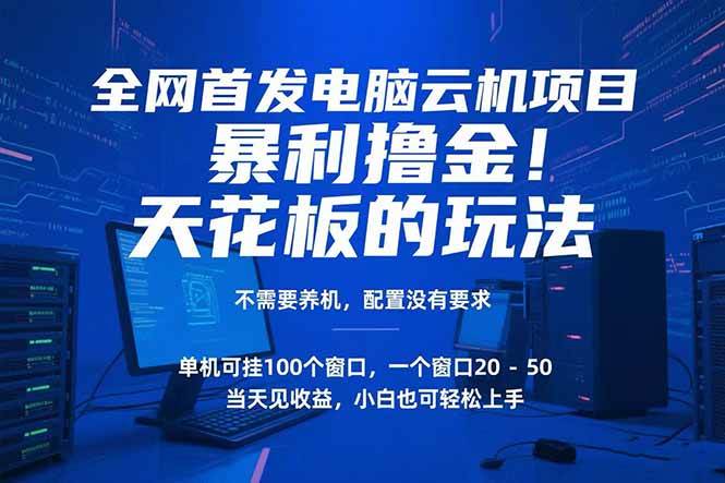 （15323期）电脑云机项目 暴力撸金玩法，不需要养机 配置没有要求 单机100个窗口一…-创业项目网