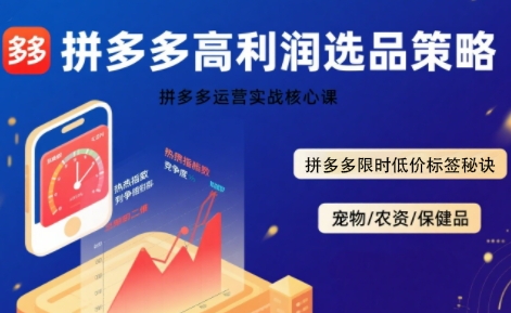 拼多多选品暴利技术实战课，拼多多高利润选品策略，拼多多限时低价标签秘诀-创业项目网