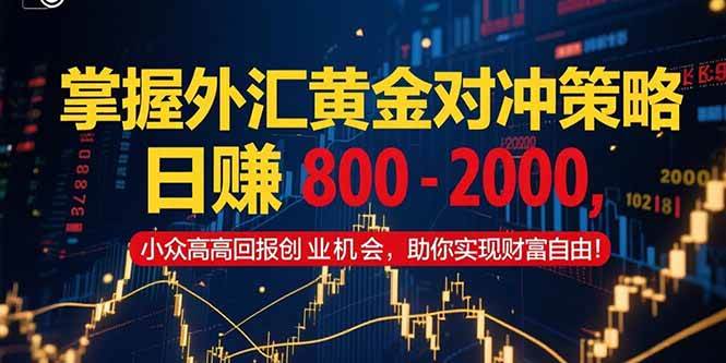 （15198期）掌握外汇黄金对冲策略，日赚 800 – 2000，小众高回报创业机会，助你实…-创业项目网