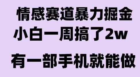 情感暴力掘金项目，新人操作一周挣了2W，长期稳定小白可做【揭秘】-创业项目网