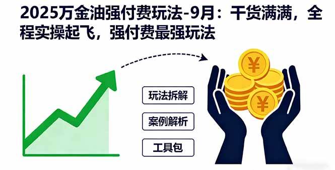 （16202期）2025万金油强付费玩法-9月：干货满满，全程实操起飞，强付费最强玩法-创业项目网