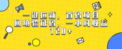 一键拉新，首码项目，回填验证码，一小时收益1张-创业项目网