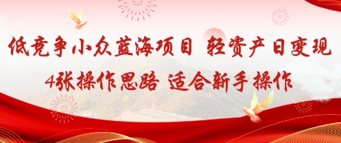 低竞争小众蓝海项目，轻资产日变现4张的操作思路适合新手操作-创业项目网