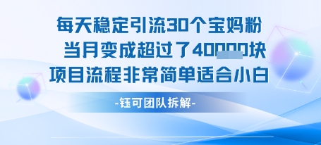 每天稳定引流30个人 当月变成超过了4个W项目流程非常简单适合小白-创业项目网