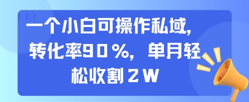一个小白可操作私域，转化率90%，单月轻松收割2W-创业项目网