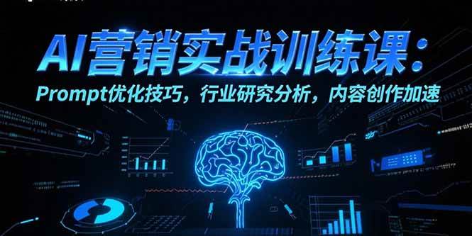 （15465期）AI营销实战训练课：Prompt优化技巧，行业研究分析，内容创作加速-创业项目网