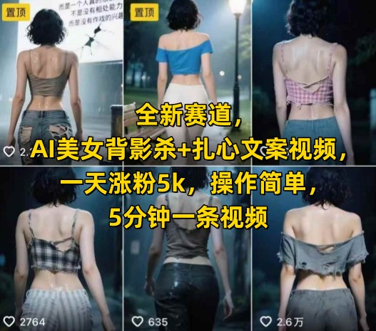 全新赛道，AI美女背影杀+扎心文案视频，一天涨粉5k，操作简单，5分钟一条视频-创业项目网