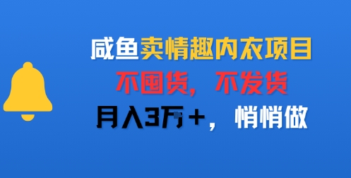咸鱼卖情趣内衣项目，不囤货，不发货，月入3W+，悄悄做-创业项目网