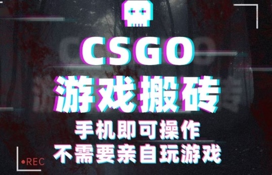 CSGO游戏挂G捡漏，单日扫货5张+，年底小高峰上车可吃肉，手机即可操作，兼职副业创业网创【揭秘】-创业项目网