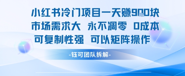 小红书冷门项目一天收益9张，市场需求大，0成本，可复制性强可以矩阵操作-创业项目网