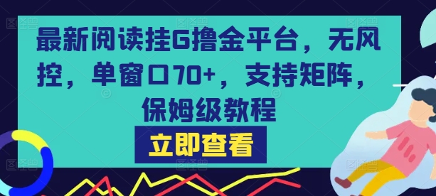 最新阅读挂G撸金平台，无风控，单窗口70+，支持矩阵，保姆级教程【揭秘】-创业项目网