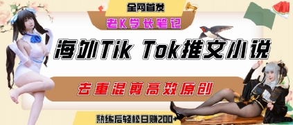 海外tiktok小说推文暴力项目，高停留率，高转化率，上手后一天搞顿饭钱不是问题-创业项目网