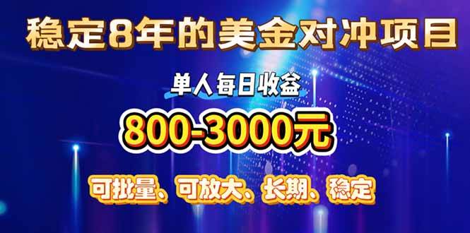 （15782期）稳定8年的美金对冲创业项目，单人每日收益800-3000，小众暴力项目-创业项目网