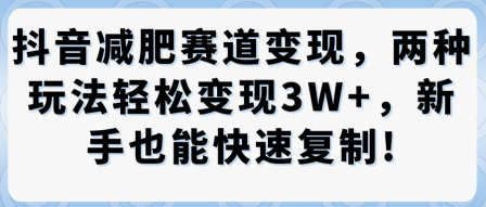 抖音减肥赛道变现，两种玩法轻松变现3W+，新手也能快速复制-创业项目网