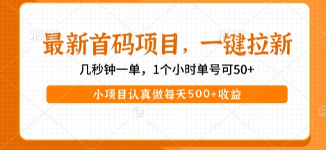 最新首码项目，操作最简单，收益高，一键拉新，1个小时单号可50+，小项目认真做每天5张+收益【揭秘】-创业项目网