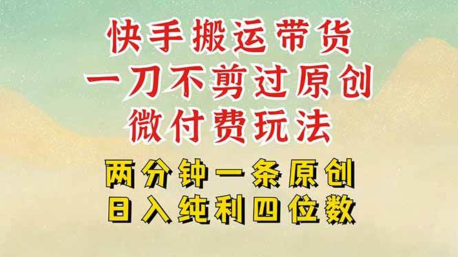 （15577期）快手黑科技搬运带货，一刀不剪过原创，微付费投流玩法，轻松日入四位数…-创业项目网