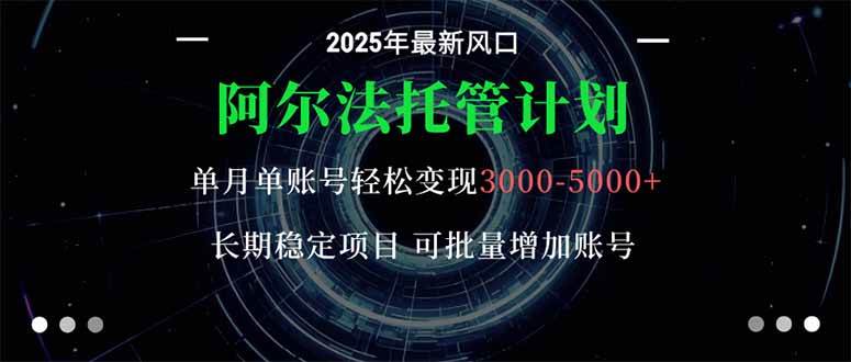 （16360期）阿尔法托管计划 单账号月入3000-5000，长期稳定项目，新手小白轻松上手。-创业项目网