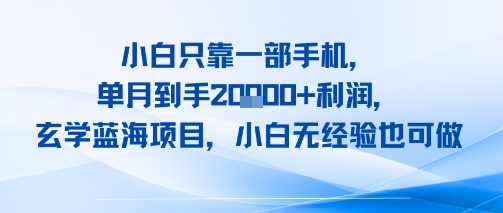 小白只靠一部手机，单月到手2W+利润，玄学蓝海项目，小白无经验也可做-创业项目网