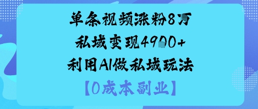 单条视频涨粉8W私域变现1k+利用AI做私域玩法-创业项目网