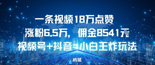 一条视频18W点赞涨粉6.5W，佣金8541视频号+抖音=小白王炸玩法-创业项目网